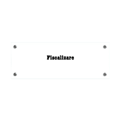 Fiscalizare