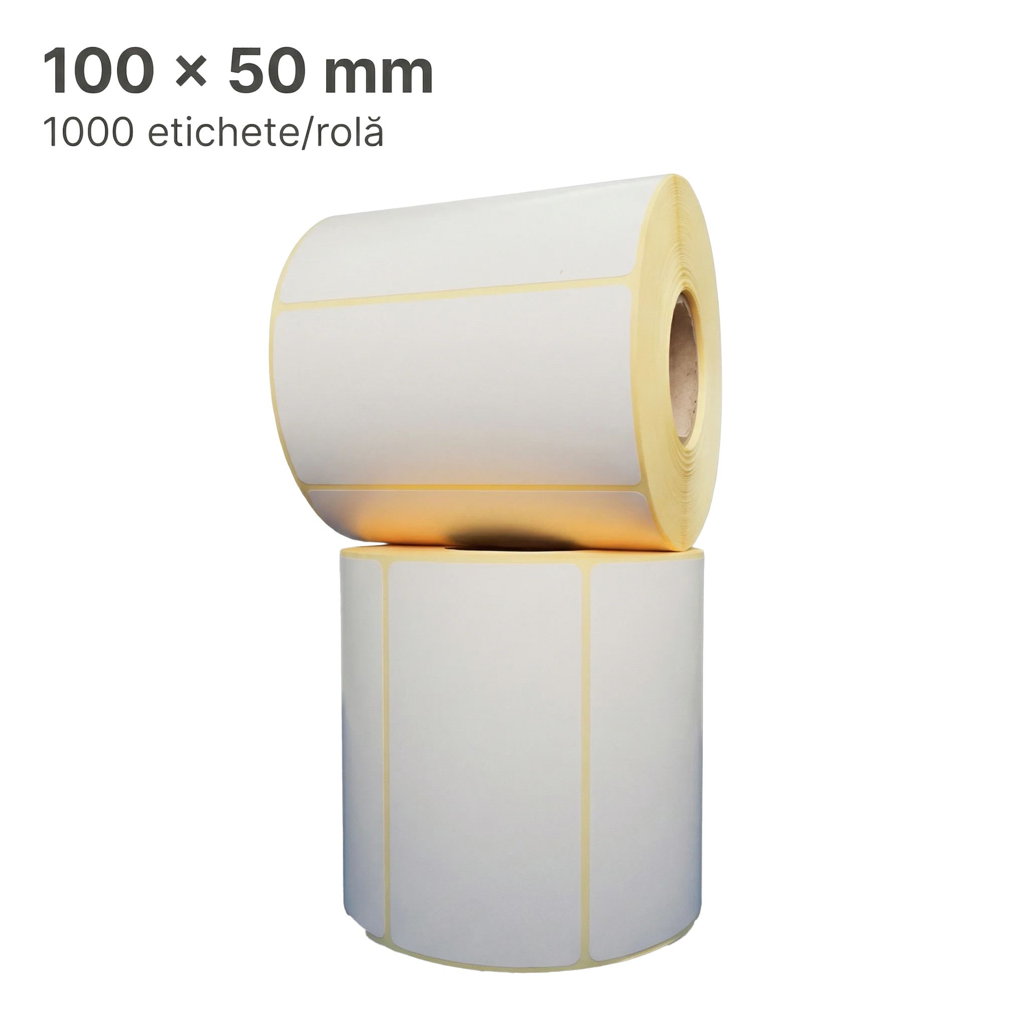 Etichete Thermal ECO H2510 100x50 mm, 1000/rolă, FI 40 mm