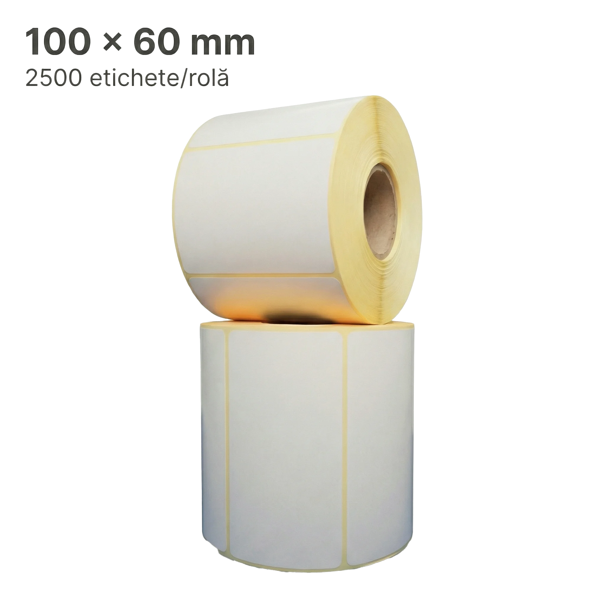 Etichete Thermal ECO H2510 100x60 mm, 2500/rolă, FI 76 mm