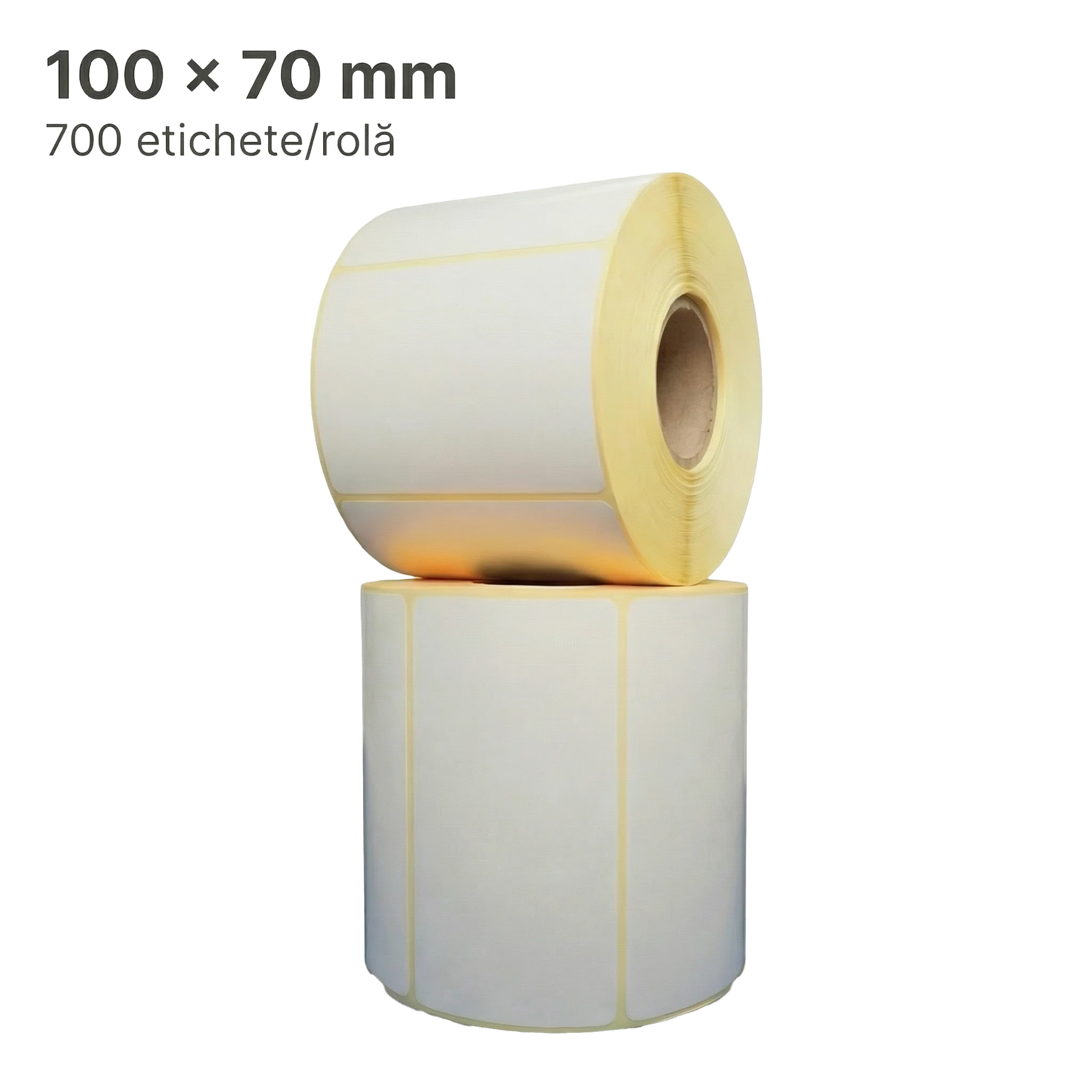 Etichete Thermal ECO H2510 100x70 mm, 700/rolă, FI 40 mm